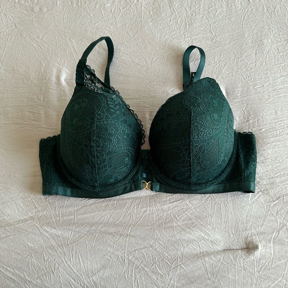 Aerie Real Power Plunge Push Up Paisley Lace Bra Size 38D